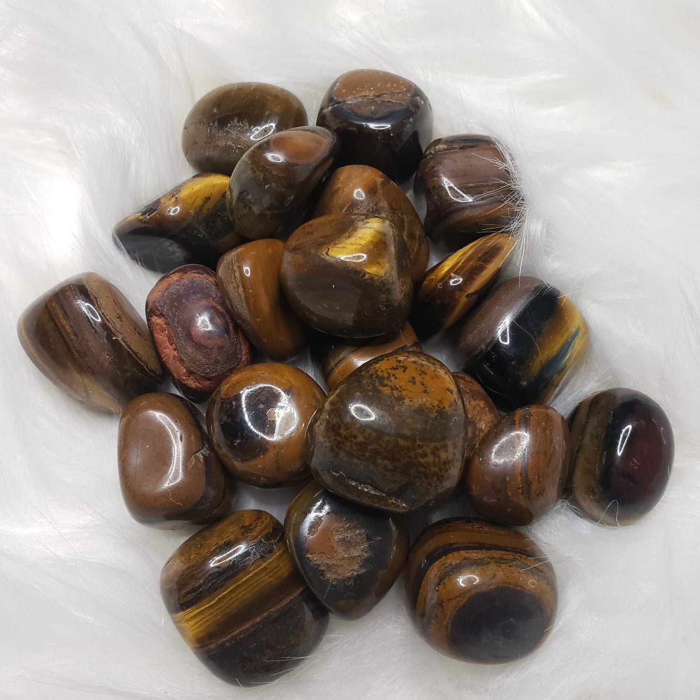 Tigers Eye